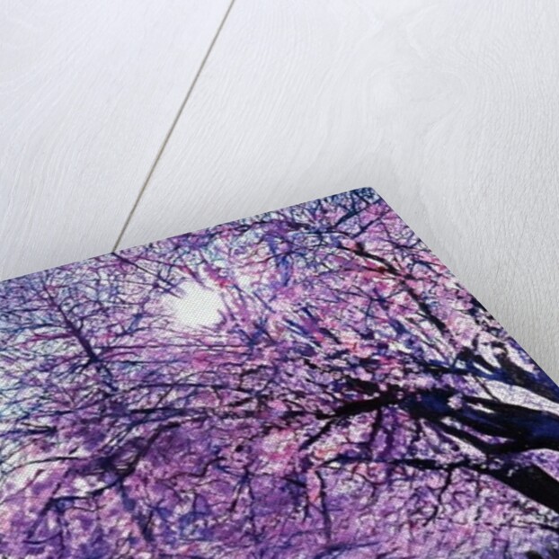 All of a Sudden, 2003 by Martin Mossop