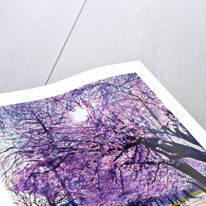 All of a Sudden, 2003 by Martin Mossop