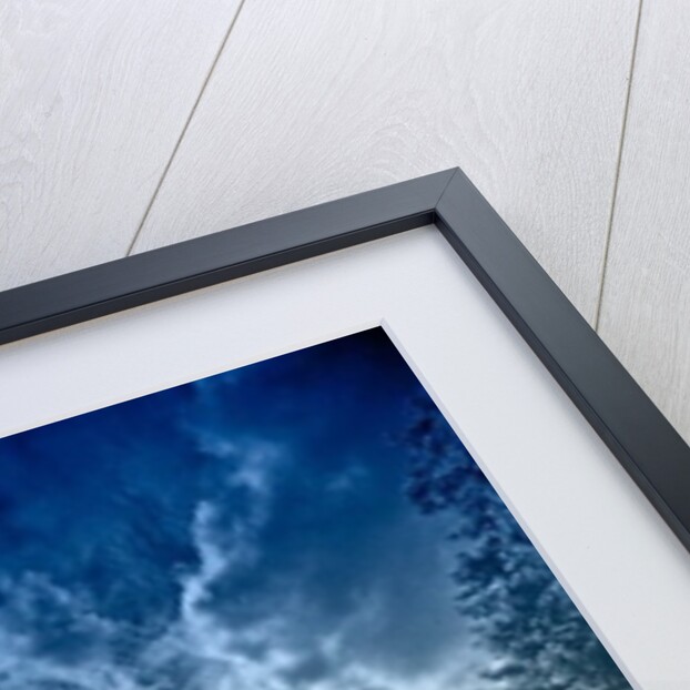 Lido London Fields,2014 by Martin Mossop