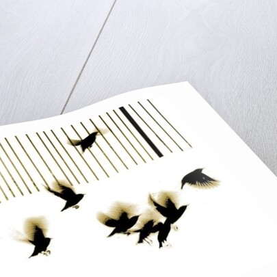 Starlings, 2003 by Martin Mossop