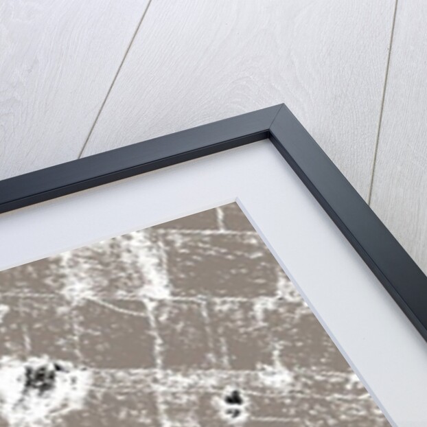 The Men's Side by Joy Lions