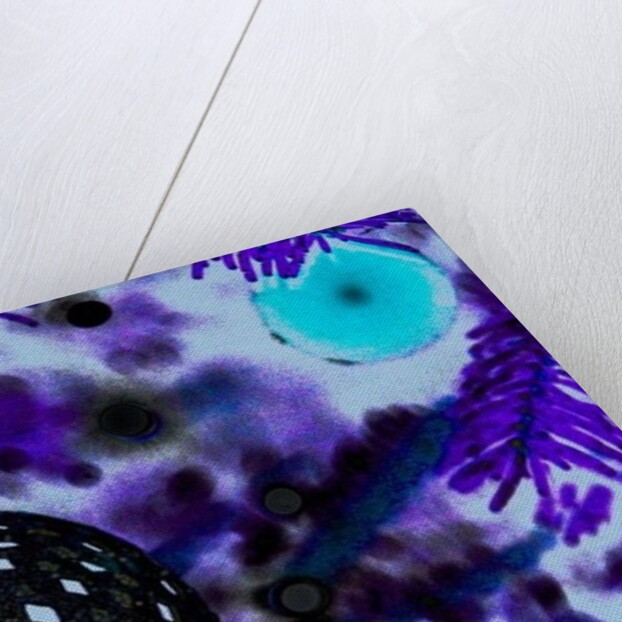 Ball Ornament by Joy Lions