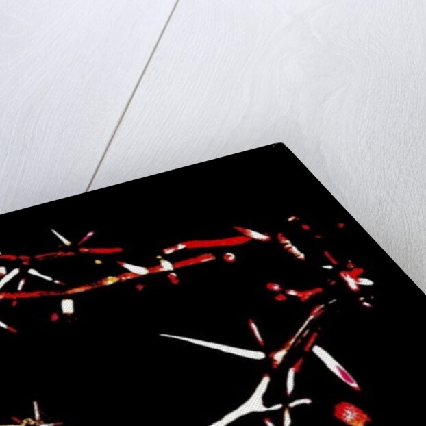 Crown of Thorns, 2015 by Joy Lions