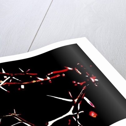 Crown of Thorns, 2015 by Joy Lions
