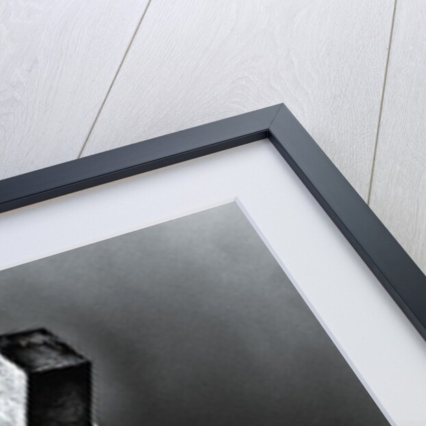 Crucifixion at the Pope's Palace, 2015 by Joy Lions