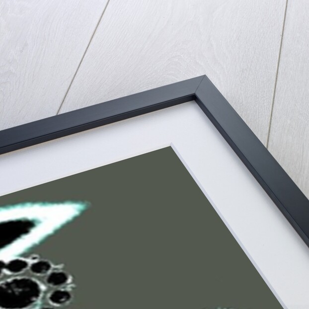 Bejewelled Lantern by Joy Lions