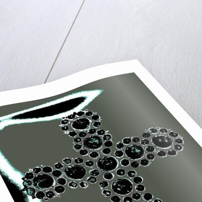 Bejewelled Lantern by Joy Lions