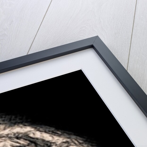 Jesus and Mary by Joy Lions