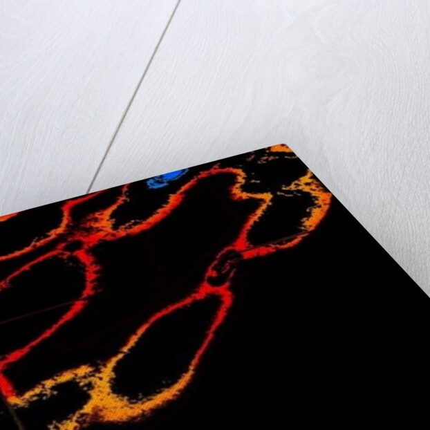 The Faithful, in Shadows by Joy Lions