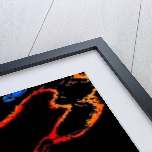 The Faithful, in Shadows by Joy Lions