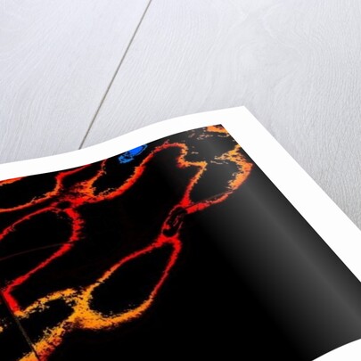 The Faithful, in Shadows by Joy Lions