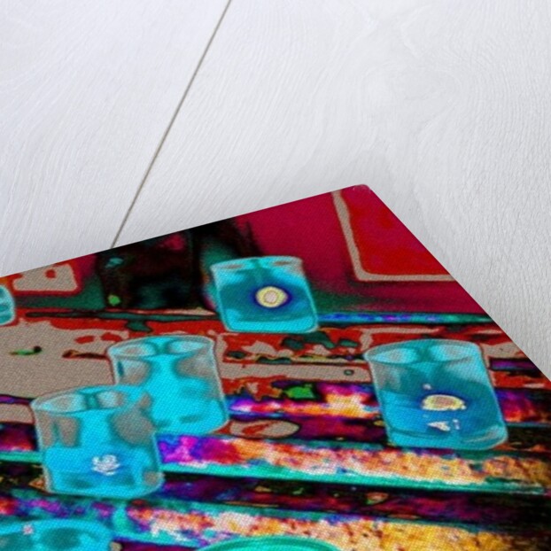 Devoted by Joy Lions