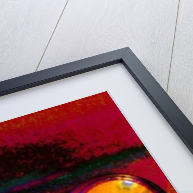 Soft Glow by Joy Lions