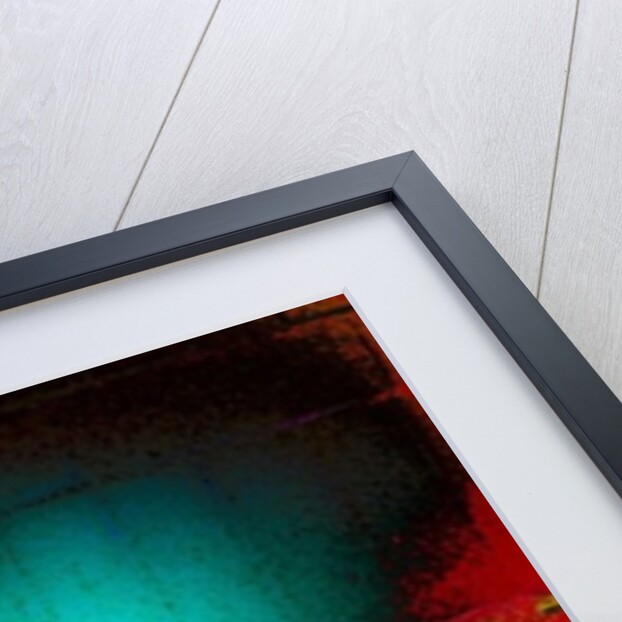 The Light by Joy Lions