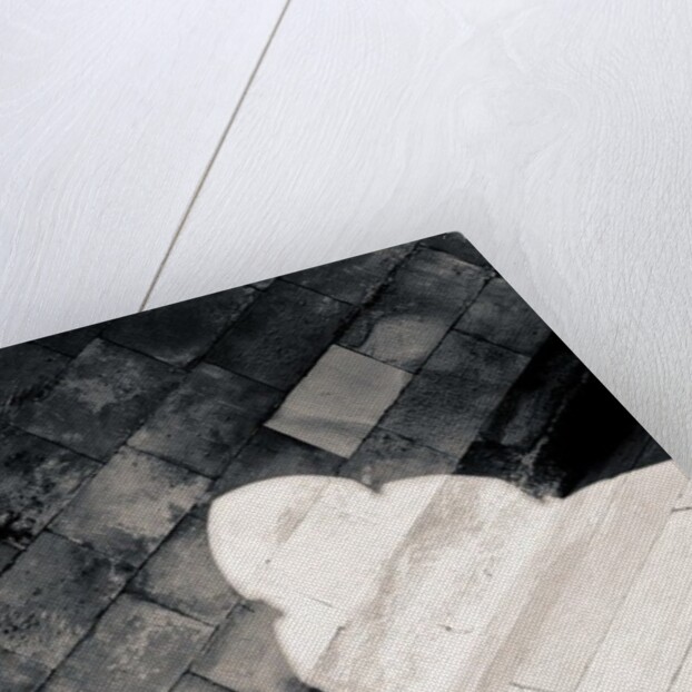 Light in the Cloister by Joy Lions