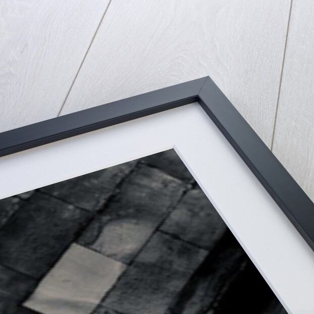 Light in the Cloister by Joy Lions