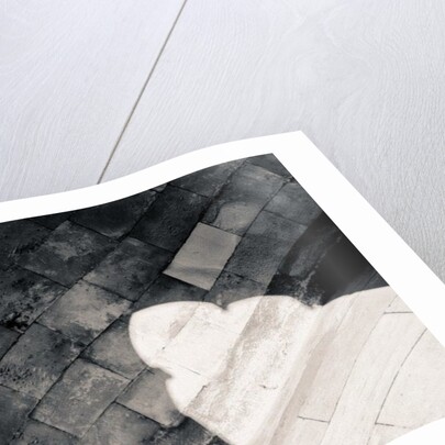 Light in the Cloister by Joy Lions