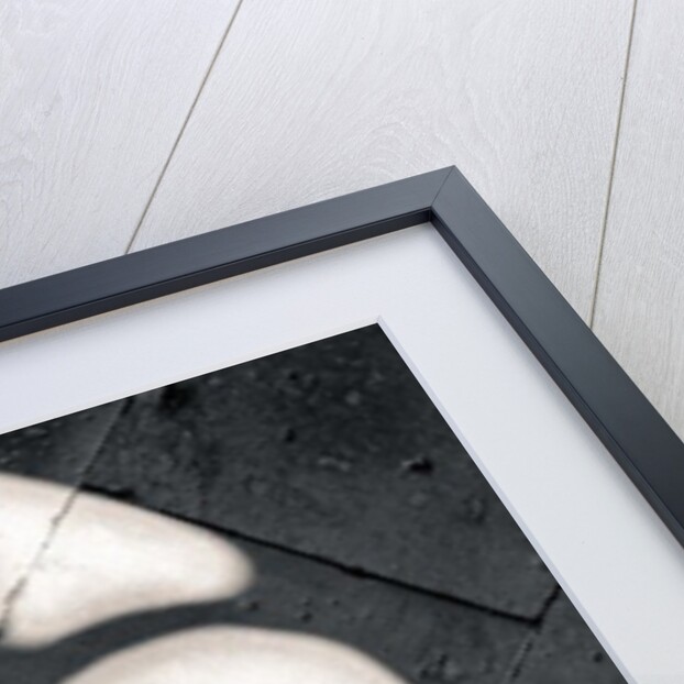 Cloister Cross by Joy Lions