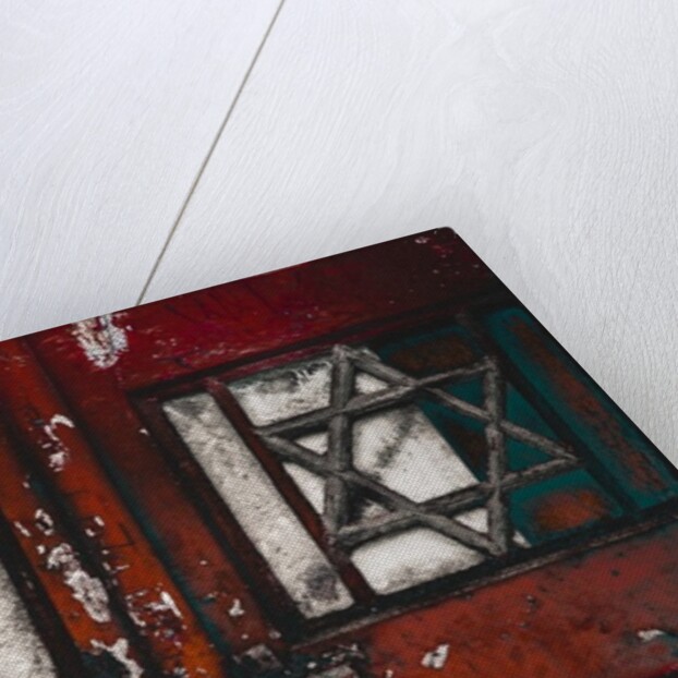 Locked Doors, 2016 by Joy Lions