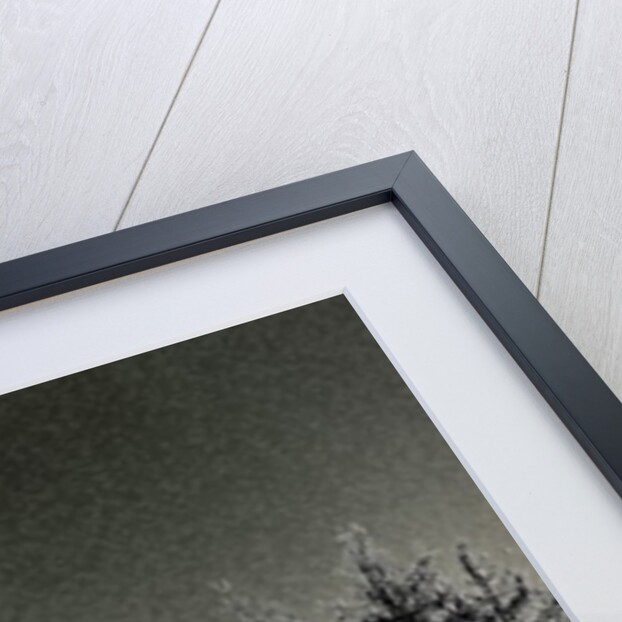 Our Church on an Evening, 2015 by Joy Lions