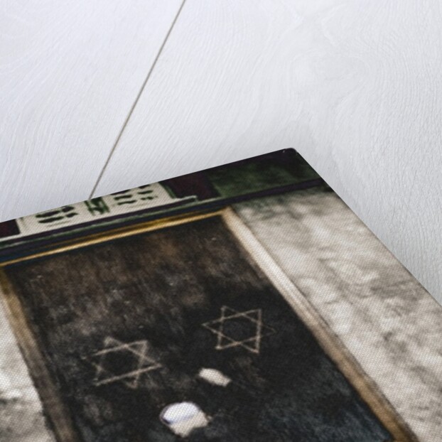 Opening the Ark, 2016 by Joy Lions