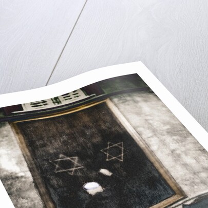 Opening the Ark, 2016 by Joy Lions