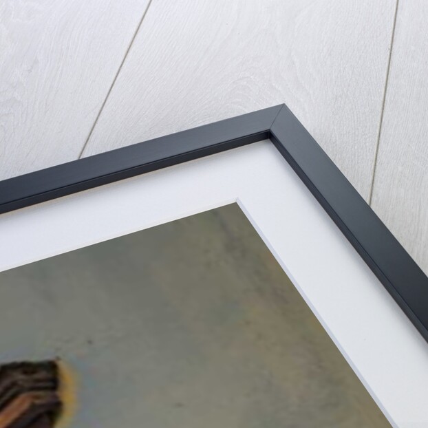 Bienvenue by Joy Lions