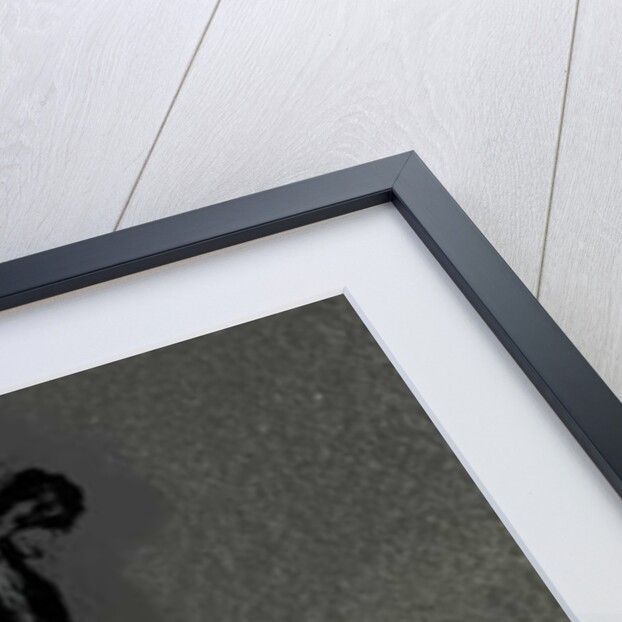 Offrandes by Joy Lions