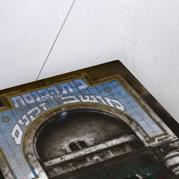 89 Allenby Street, 2016 by Joy Lions