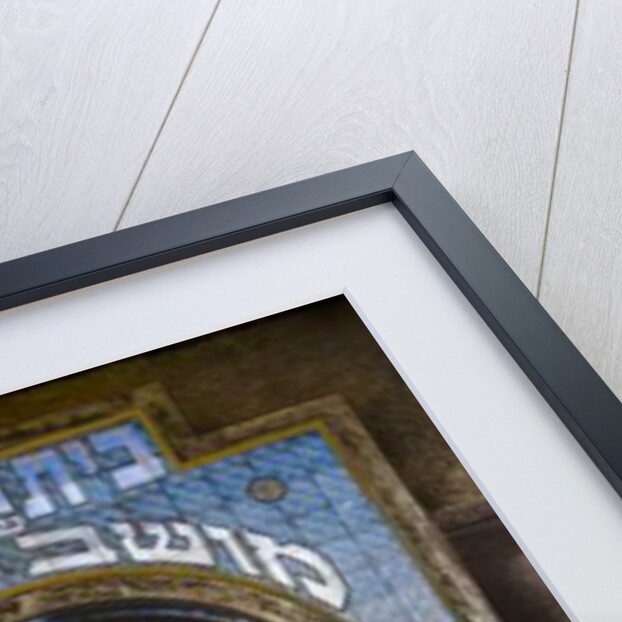 89 Allenby Street, 2016 by Joy Lions