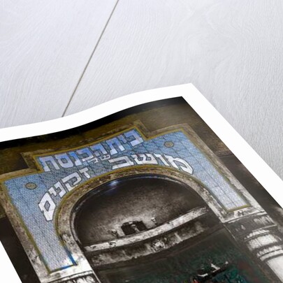 89 Allenby Street, 2016 by Joy Lions