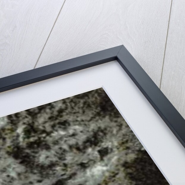 Synagogue at Gamla, 2016 by Joy Lions