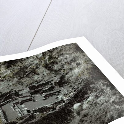 Synagogue at Gamla, 2016 by Joy Lions