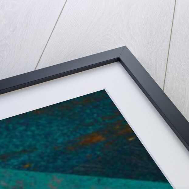 Angel and the Annunciation by Joy Lions