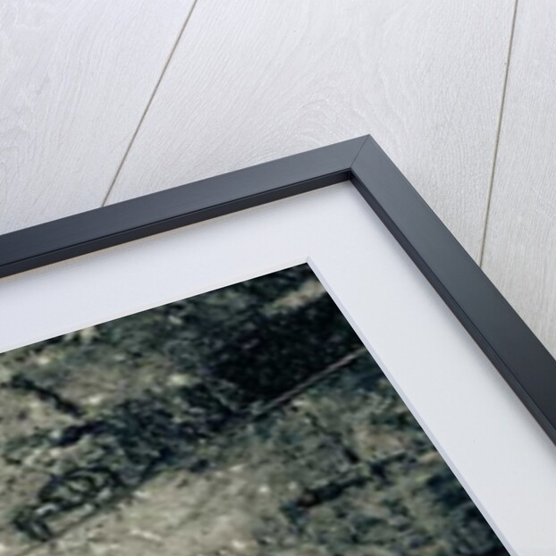 Passageway Lantern by Joy Lions