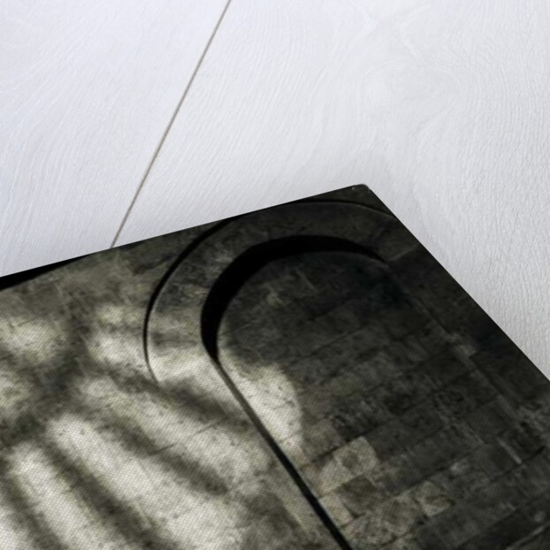 Beautiful Light by Joy Lions