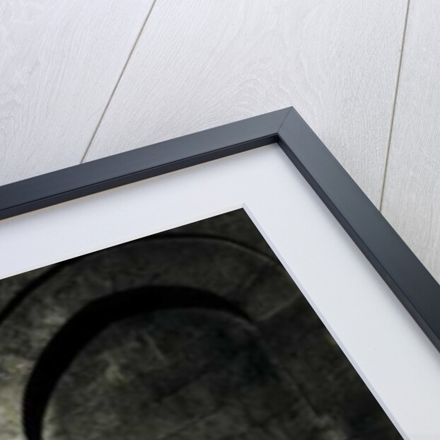 Beautiful Light by Joy Lions