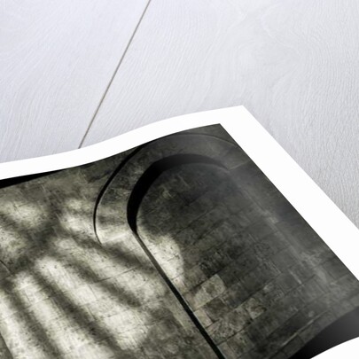 Beautiful Light by Joy Lions