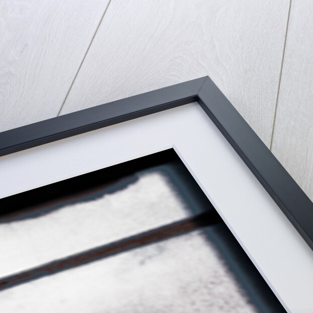 The Lion Turneth Not Away for Any by Joy Lions