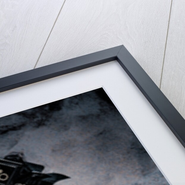 Mary and the Knowing Child by Joy Lions