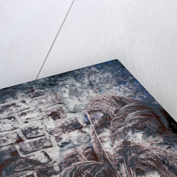 The Book of Common Prayer by Joy Lions