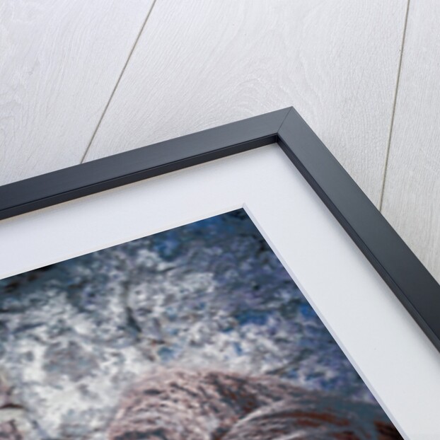 The Book of Common Prayer by Joy Lions