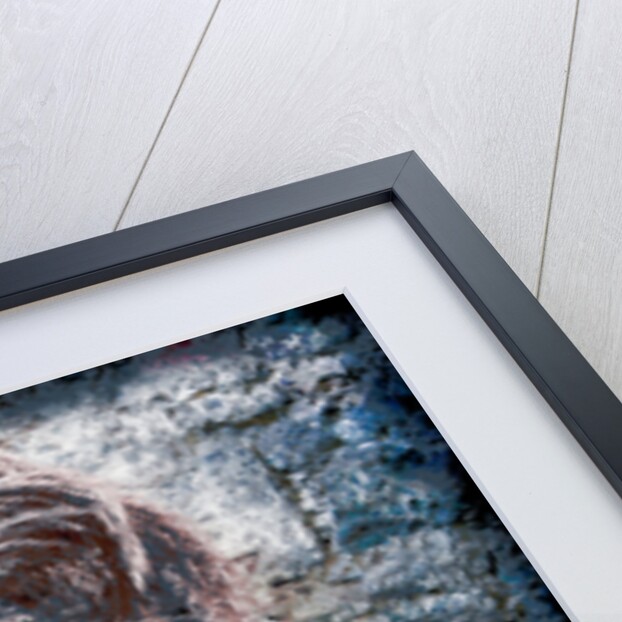 The Book of Common Prayer by Joy Lions