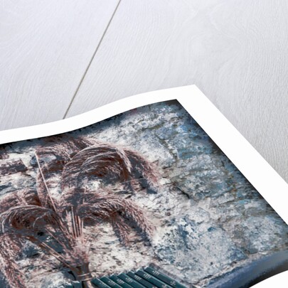 The Book of Common Prayer by Joy Lions