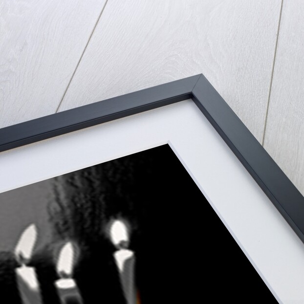 Left to Burn, 2017 by Joy Lions