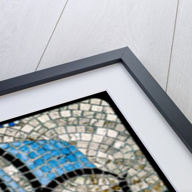 Zabulun by Joy Lions