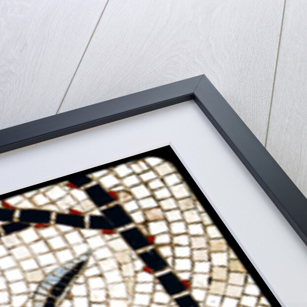 from the series, Twelve Tribes of Israel, 2017 by Joy Lions