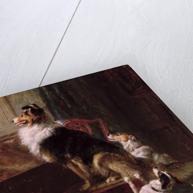 A Reserved Seat, 1901 by Briton Riviere