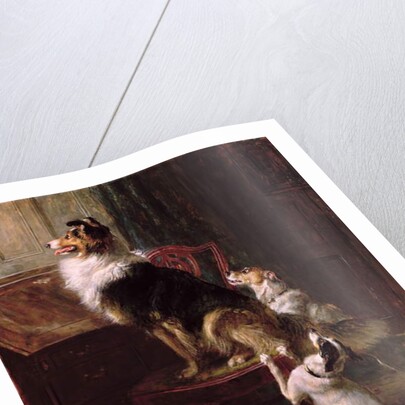 A Reserved Seat, 1901 by Briton Riviere