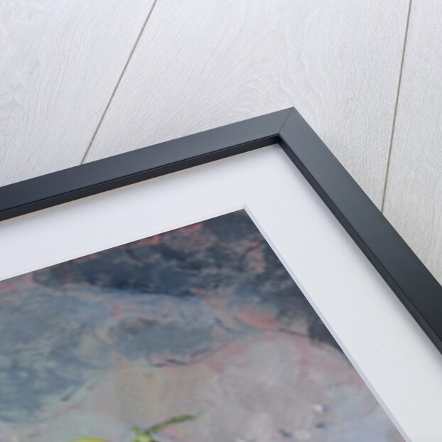 Snowdrops, 2013 by Sue Wales